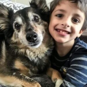 A Rescue Dog Came Home with Us — The Next Night, My 8-Year-Old Son Disappeared