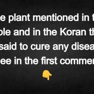 The plant mentioned in the …