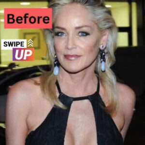 Sharon Stone at 65: Timeless Beauty and Style