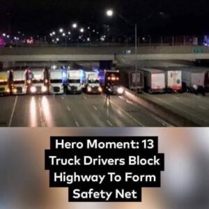 No one knows why 13 trucks are blocking the highway, when the truth is revealed, tears flow