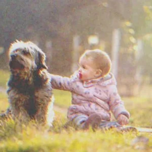 Man Hears His Dog Barking from Afar, Finds It Sitting near an Abandoned Baby – Story of the Day