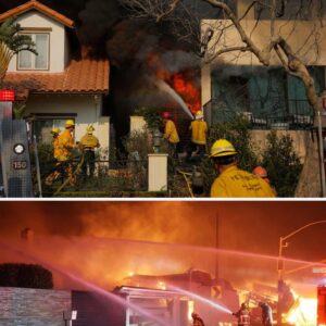 The Home Of A Blues Brothers Star “Totally Burned Down,” Killing The 95-Year-Old Star