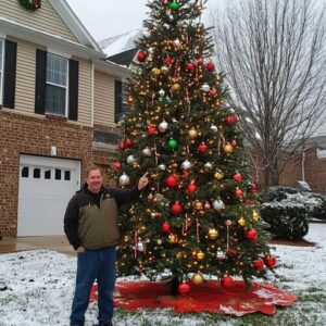 My Landlord Stole My Beautiful Christmas Tree and My Payback Was Harsh