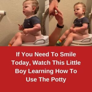 If You Need To Smile Today, Watch This Little Boy Learning How To Use The Potty