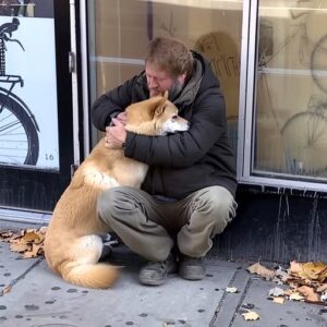 Dog Goes to Closed Store Daily then Leaves, One Evening Poor Boy Notices and Follows It — Story of the Day