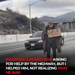 No one came to assist the elderly man stranded by the highway, and it took me some time to grasp the reason