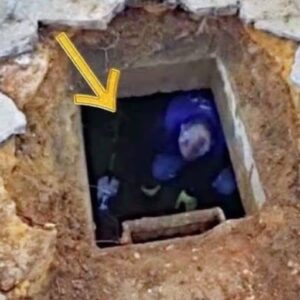 Shocking Discovery Beneath a Driveway: Unusual Noises Lead to an Astonishing Find