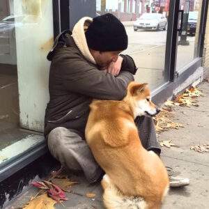 Every Day, A Dog Visits A Closed Store, And A Poor Boy Follows The Dog And Finds Out The Truth