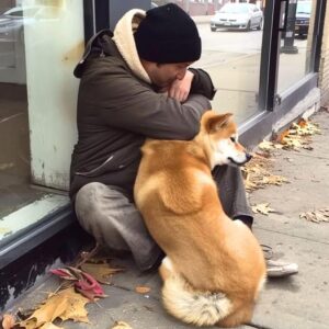 Dog Goes to Closed Store Daily then Leaves, One Evening Poor Boy Notices and Follows It — Story of the Day