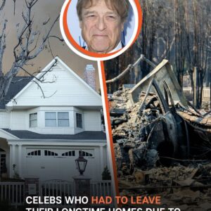 LinkEmailflipboard-iconX FacebookShare 8 Celebs Who Lost Their Homes or Had to Evacuate amid Los Angeles Wildfires