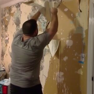 My Ex-Husband Removed the Wallpaper After Our Divorce, Claiming “I Paid for It” – In the End, Karma Won