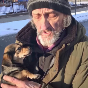 Homeless Man Asked Me to Take His Dog – A Month Later, I Received a Mysterious Letter