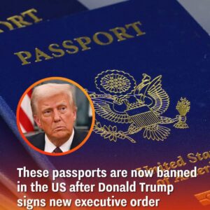 Following The Signing Of A New Gender Executive Order By Donald Trump, These Passports Are Now Prohibited In The United States