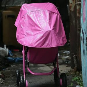 I Saw a Wealthy Woman Abandon a Baby Stroller by a Dumpster—What I Found Inside Changed My Life Forever