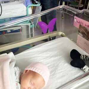 Purple butterfly sticker near newborns – here’s what it means