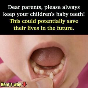 I Had No Idea Baby Teeth Could Do So Much