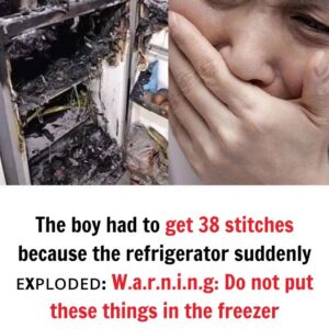 The boy had to get 38 stitches because the refrigerator suddenly ᴇxᴘʟᴏᴅᴇᴅ: W.a.r.n.i.n.g: Do not put these things in the freezer