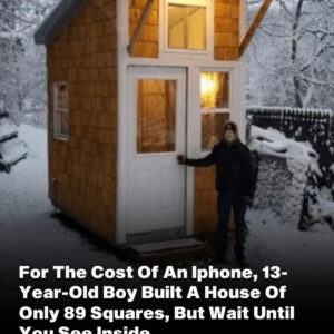 He Built an 89-Square-Foot House for the Price of an iPhone—Wait Until You See Inside!