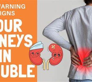 10 Warning Signs Your Kidneys May Be in Danger