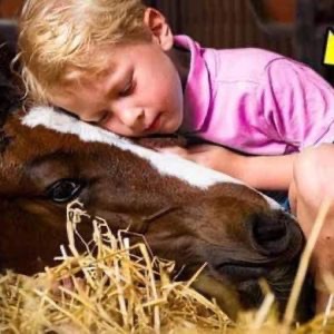 Every Night, The Horse Slept With The Boy. 3 Years Later, Mum Realized she Made a Terrible Mistake…… CHECK FIRST COMMENT 👇👇