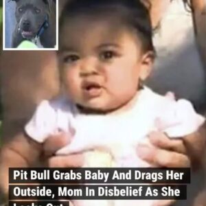 This mother woke up to her dog going nuts in the backyard, so she walked through the kitchen and let the dog in the house.