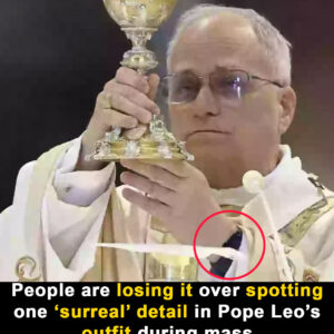 Internet reacts to Pope’s ‘surreal’ outfit detail