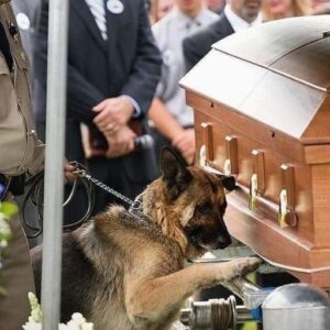 THEY TOLD US HE DIED IN THE LINE OF DUTY—BUT HIS DOG KNEW BETTER