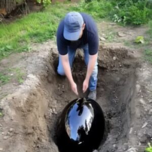 I Caught My Husband Burying a Strange Black Egg — What Followed Changed Our Marriage