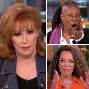 ‘The View’ Hosts In Hot Water After ABC Gives Them This Warning