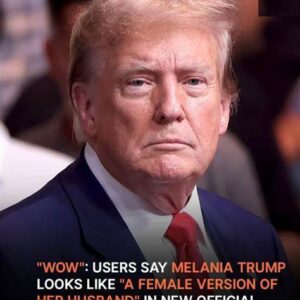 ‘Wow’: Users React to Melania Trump’s New Official Portrait – Photo