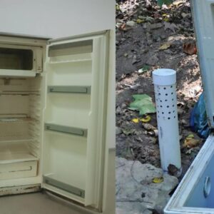My neighbor buried his old fridge in the ground: we were all shocked by this scene
