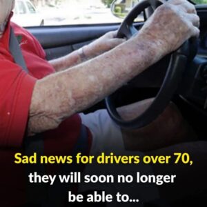 Should Seniors Face Stricter Driving Rules? A New