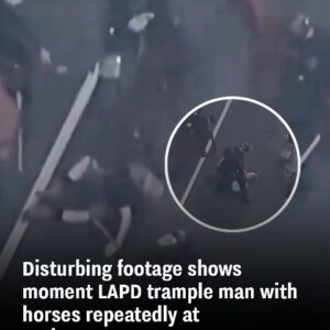 Shows moment LAPD trample man