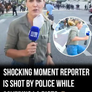 Reporter shot by police while filming LA riots
