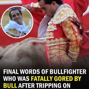 Chilling final words of matador gored to death by a bull