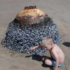 What seemed like a harmless beach picture led to a swift response from authorities