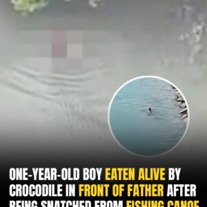 Malaysian Community Warned To Avoid River After Infant Eaten Alive In Front Of Father Malaysian Community Warned To Avoid River After Infant Eaten Alive In Front Of Father