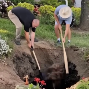 I CAME HOME TO FIND MY HUSBAND AND HIS EX DIGGING IN MY GARDEN WHEN I GOT CLOSER I FROZE AT WHAT I SAW I CAME HOME TO FIND MY HUSBAND AND HIS EX DIGGING IN MY GARDEN WHEN I GOT CLOSER I FROZE AT WHAT I SAW