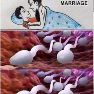 Studies reveal that swallowing your partner’s