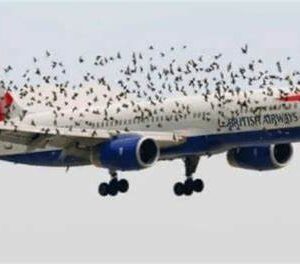 Pilot Reacted Emotionally When He Realized