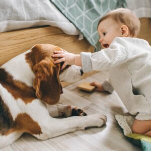 The dog bared his teeth menacingly at the baby every night. And when the parents realized the real reason for its behavior, their lives changed forever.