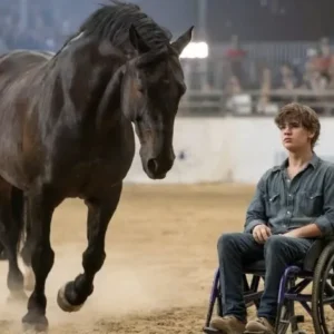 A paralyzed teen rolls into the arena—then the wild stallion’s response brings everyone to tears.