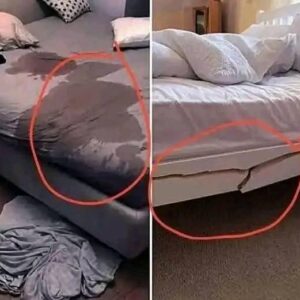 The women who do this are the most… See more