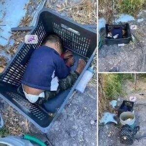 This approximately 2-year-old boy was found… See more