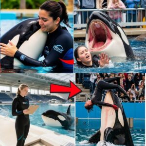 Orca Trainer Jessica Radcliffe is att@cked by a whale | Shocking Accident Caught on Camera! GT09 Orca Trainer Jessica Radcliffe is att@cked by a whale | Shocking Accident Caught on Camera! GT09