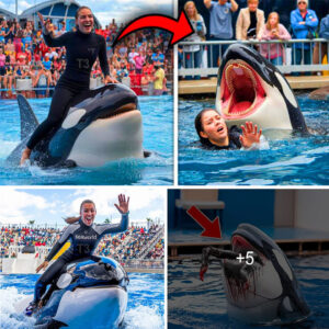 The HORRIFYING Last Moments of Orca Trainer Jessica Radcliffe | Daniel Patrick Dukes The HORRIFYING Last Moments of Orca Trainer Jessica Radcliffe | Daniel Patrick Dukes