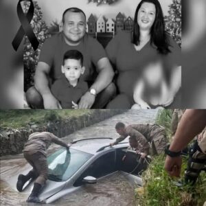 Father, mother and son are found dead in a car in a river, they were with their m…See more