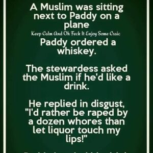 Paddy’s Plane Misunderstanding Paddy’s Plane Misunderstanding