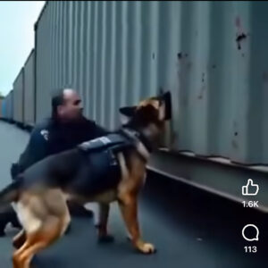 K9 Dog Who Broke Every Rule… and Found the Kids No One Else Could