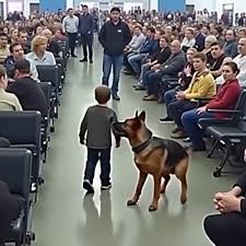 Little boy cries at gate—k9 dog senses something no one else does